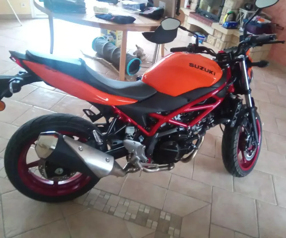 Suzuki roadster boutique